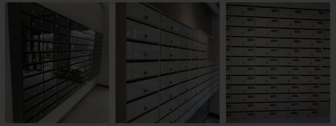 header bannner portofoliu